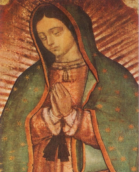 Our Lady of Guadalupe Prayer of Pro-lifers