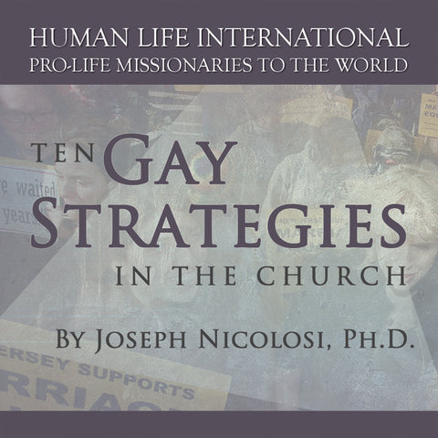 Ten Gay Strategies in the Church